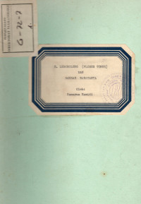 Image of G. Leroboleng (Flores Timur) dan Daerah Bahayanya