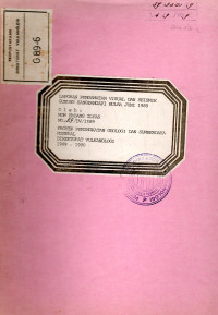 Image of Laporan Pengamatan Visual dan Seismik G. Sangeangapi : Bulan Juni 1989
